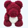 Peluche Ours Roses Violines