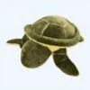 Peluche Géante De Tortue Verte
