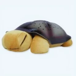 Veilleuse Peluche Tortue Projecteur De Ciel étoilé