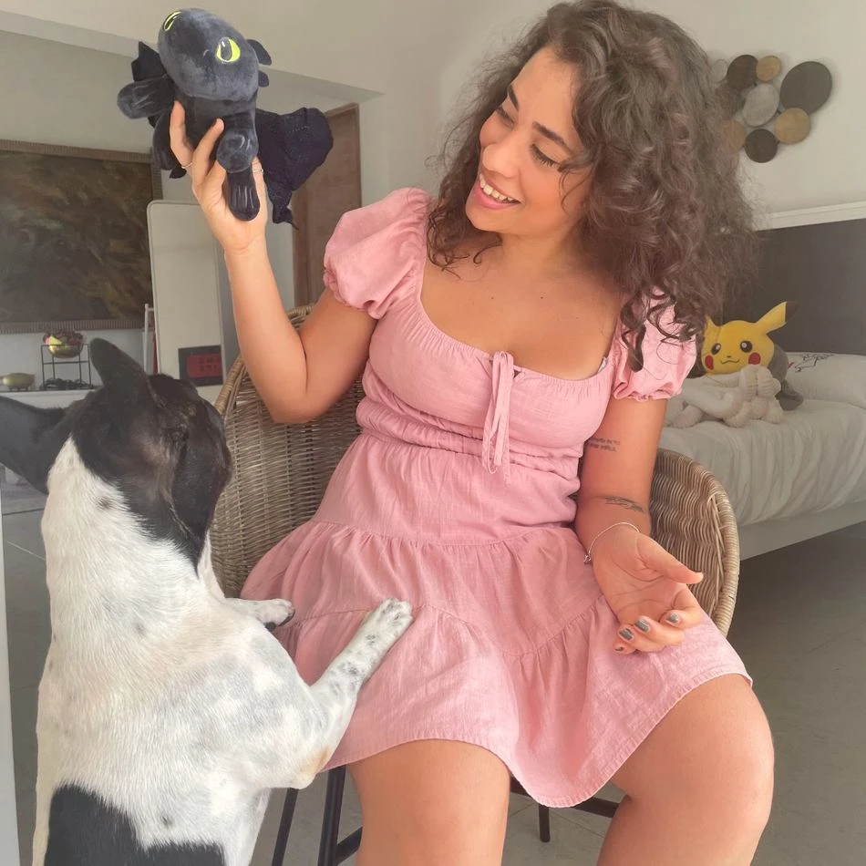 Pack De Peluche Dragon Krokmou Noir + Furie Eclair 3 Pack De Peluche Dragon Krokmou Noir + Furie Eclair – Image 3