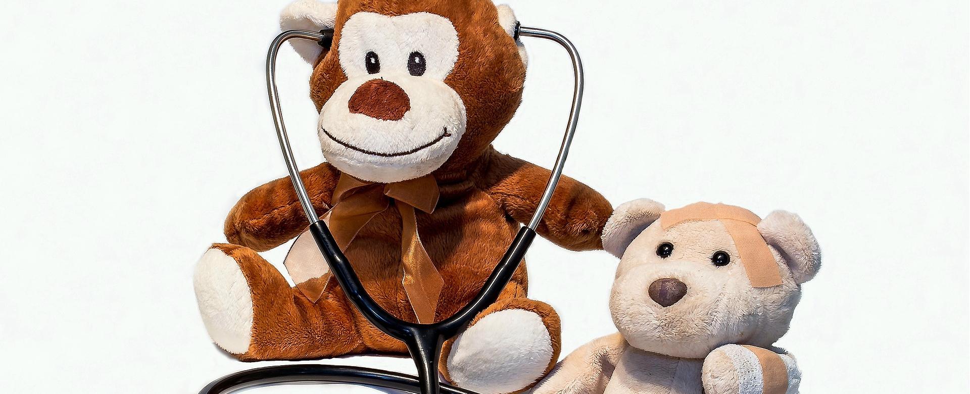 Magasin De Jouets En Peluche 1 Magasin De Jouets En Peluche -Magasin De Jouets En Peluche teddy bears 1936200 1920